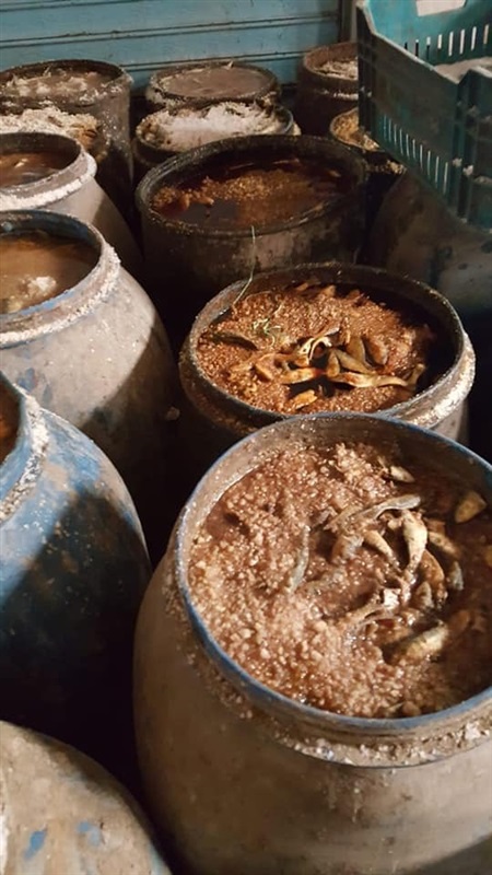 بالصور.. بيطري كفر الشيخ يواصل محاربة معدومي الضمير ويضبط 12 طن سردين مملح "فاسد"