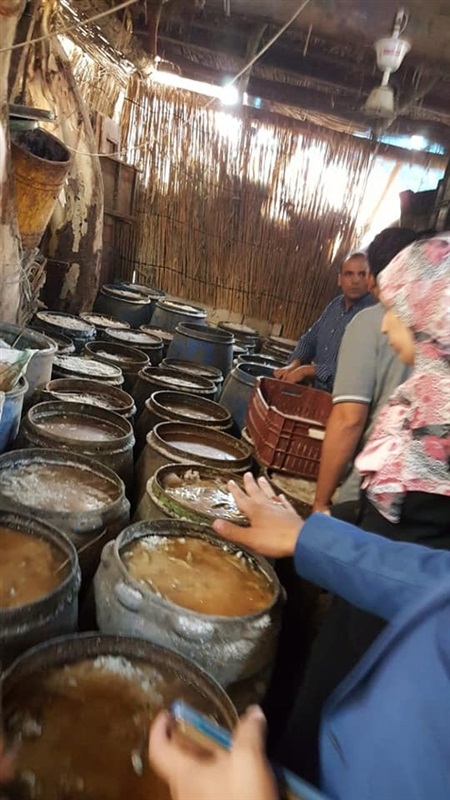 بالصور.. بيطري كفر الشيخ يواصل محاربة معدومي الضمير ويضبط 12 طن سردين مملح "فاسد"