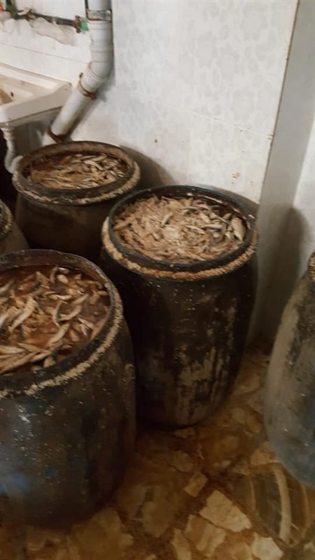 بالصور.. بيطري كفر الشيخ يواصل محاربة معدومي الضمير ويضبط 12 طن سردين مملح "فاسد"
