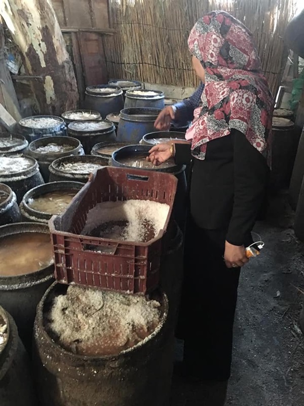 بالصور.. بيطري كفر الشيخ يواصل محاربة معدومي الضمير ويضبط 12 طن سردين مملح "فاسد"