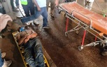   بالصور..مناورة لتجنب حدوث أزمة مرورية أثناء هطول الأمطار بطوخ