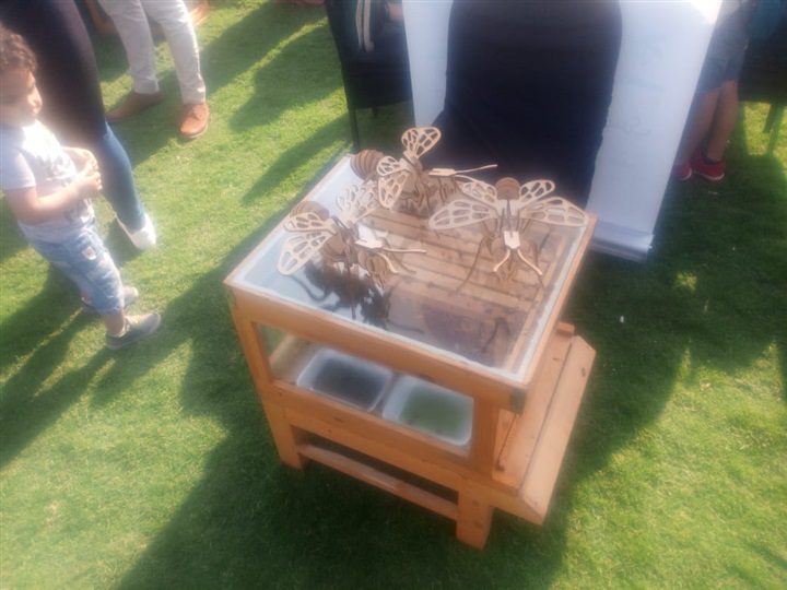بالصور.. افتتاح أول مهرجان لعسل النحل بمشاركة متميزة من الشباب والأطفال