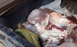 ضبط 2 طن دواجن و72 لحوم مذبوحة خارج المجازر في بيلا