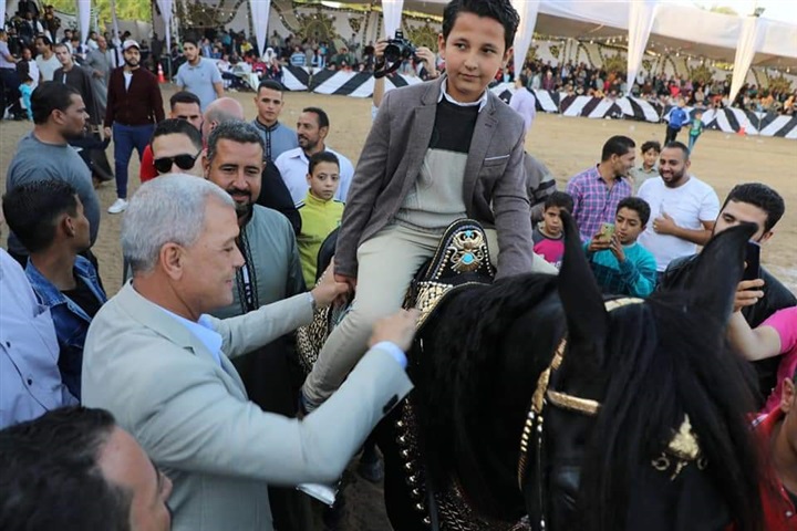 محافـظ المنوفية يشهد ختام  فاعليات المهرجان الثانى للخيول العربية بمدينة شبين الكوم