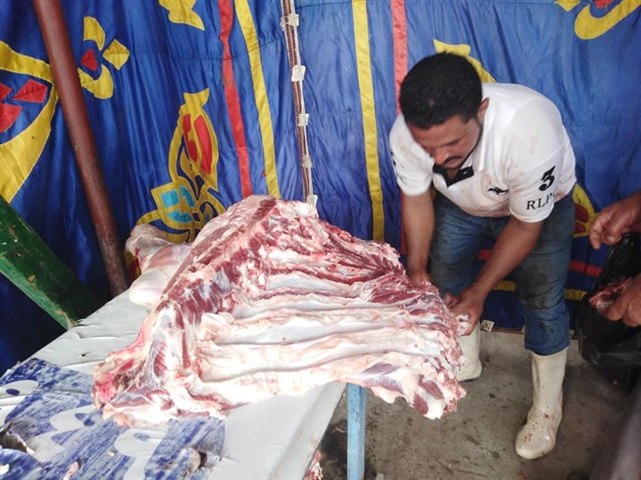 بالصور.. طرح لحوم بلدية بسعر 60 جنيها للكيلو بكفر الشيخ
