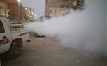 تشجير مدخل مدينة مرسى مطروح وانارة عدة مناطق