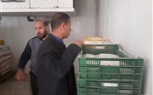 ضبط 800 كيلو دواجن مجمدة مجهولة المصدر في الحامول بكفر الشيخ