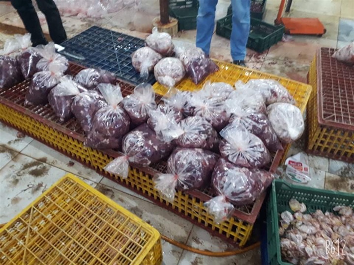 بالصور.. ضبط 200 كيلو «كبد وقوانص» مجهولة المصدرر في بيلا بكفر الشيخ