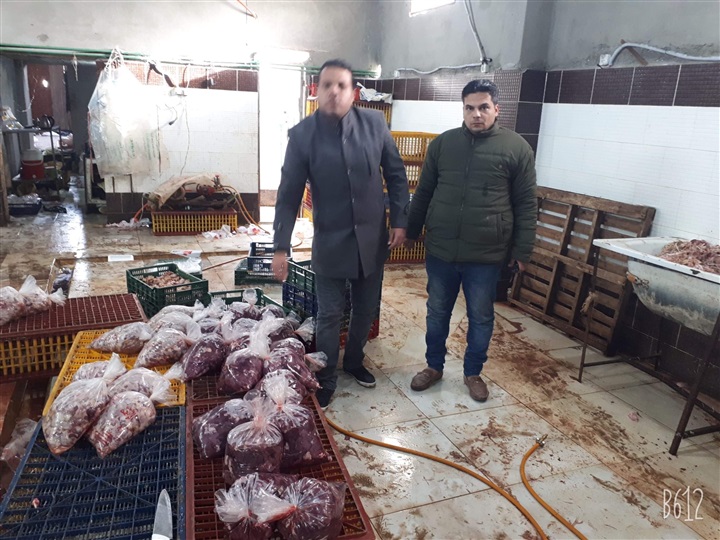 بالصور.. ضبط 200 كيلو «كبد وقوانص» مجهولة المصدرر في بيلا بكفر الشيخ