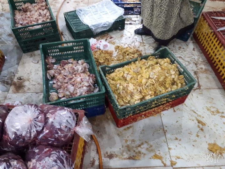 بالصور.. ضبط 200 كيلو «كبد وقوانص» مجهولة المصدرر في بيلا بكفر الشيخ
