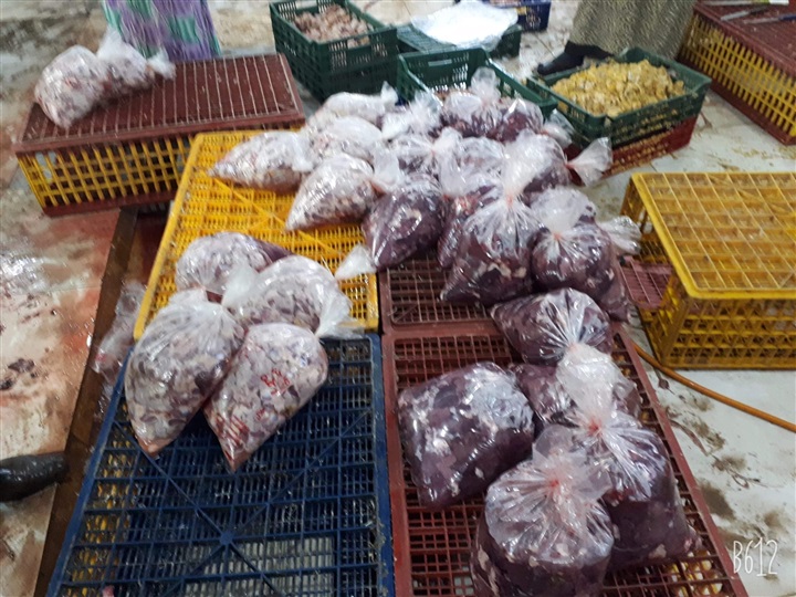 بالصور.. ضبط 200 كيلو «كبد وقوانص» مجهولة المصدرر في بيلا بكفر الشيخ