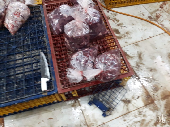 بالصور.. ضبط 200 كيلو «كبد وقوانص» مجهولة المصدرر في بيلا بكفر الشيخ