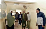 بالصور.. جولة تفقدية لسكرتير عام محافظة الأقصر على الأدارات التابعة لديوان عام المحافظة