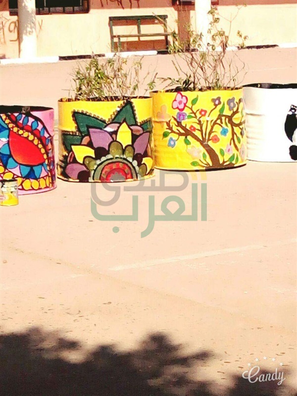 بالصور.. "نحو تعليم أفضل"ورشة عمل بتربية بنها