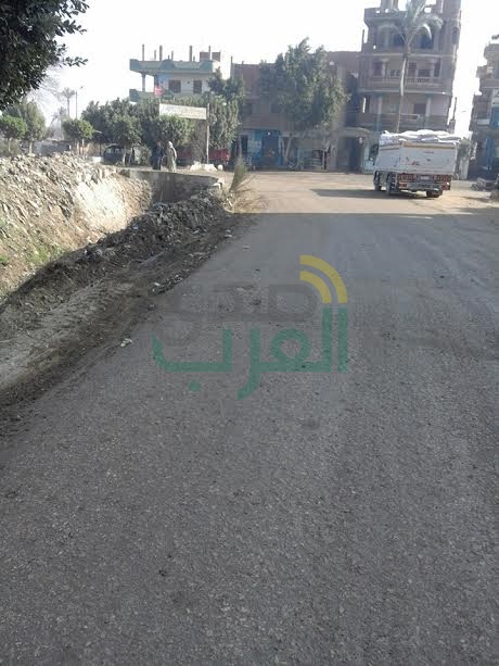بالصور.. تشجير وأعمال نظافة بمركز ومدينة طوخ