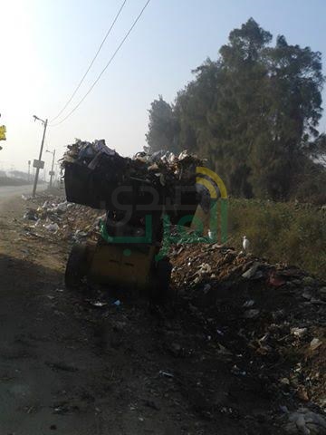 بالصور.. تشجير وأعمال نظافة بمركز ومدينة طوخ