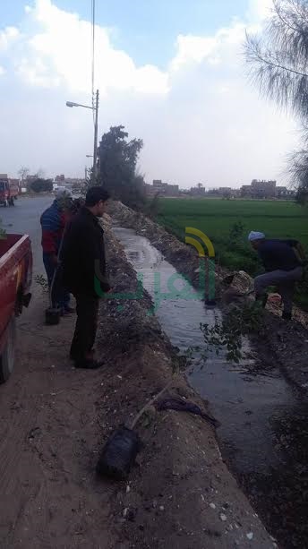 بالصور.. تشجير وأعمال نظافة بمركز ومدينة طوخ
