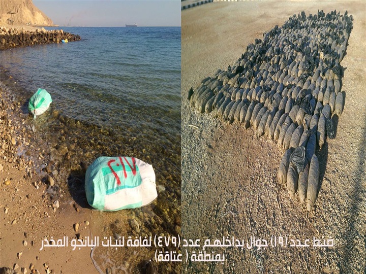 بالصور.. أبرز جهود قوات حرس الحدود خلال 15 يومًا