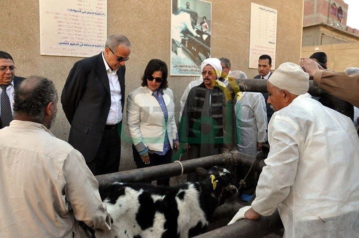 بالصور.. نائب وزير الزراعة تزور القليوبية لتفقد حملات تحصين الماشية