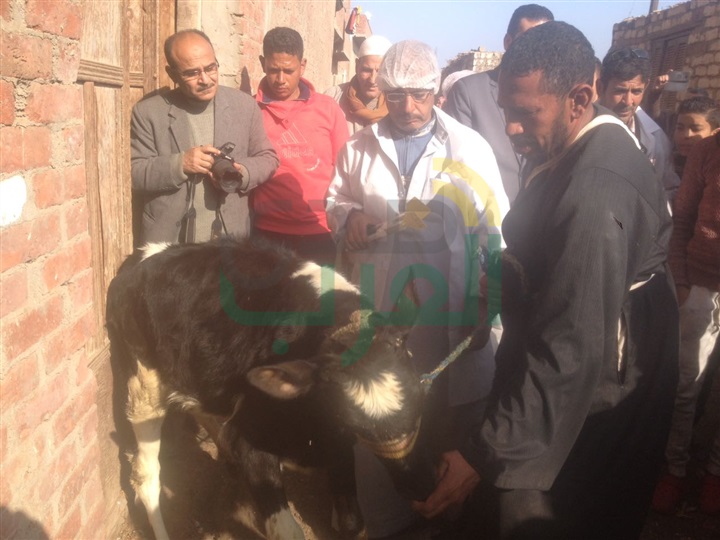 بالصور.. نائب وزير الزراعة تزور القليوبية لتفقد حملات تحصين الماشية