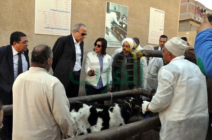 بالصور.. نائب وزير الزراعة تزور القليوبية لتفقد حملات تحصين الماشية