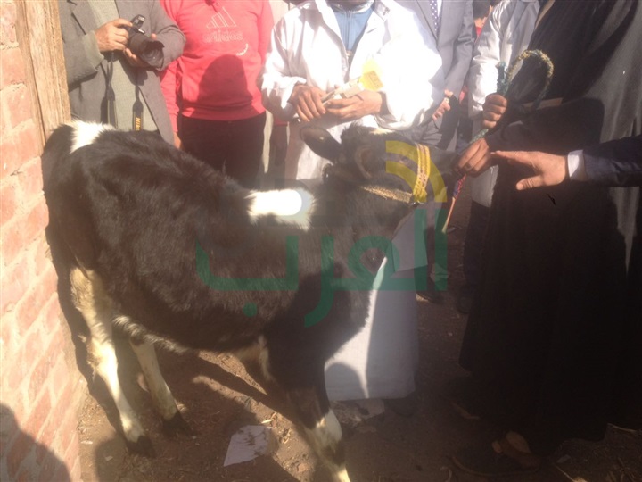 بالصور.. نائب وزير الزراعة تزور القليوبية لتفقد حملات تحصين الماشية