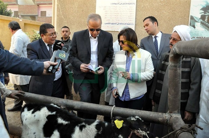 بالصور.. نائب وزير الزراعة تزور القليوبية لتفقد حملات تحصين الماشية