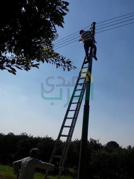 بالصور.. تنفيذ أعمال تمهيد وإنارة بمدينة طوخ