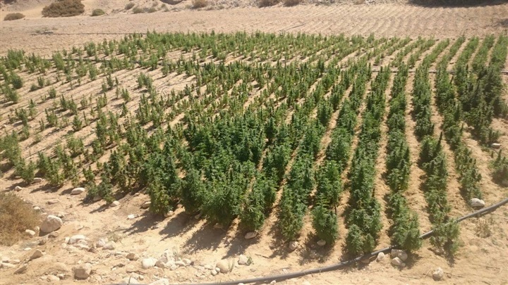 قوات إنفاذ القانون بالجيش الثالث الميدانى تواصل ملاحقة العناصر التكفيرية والإجرامية بوسط سيناء 