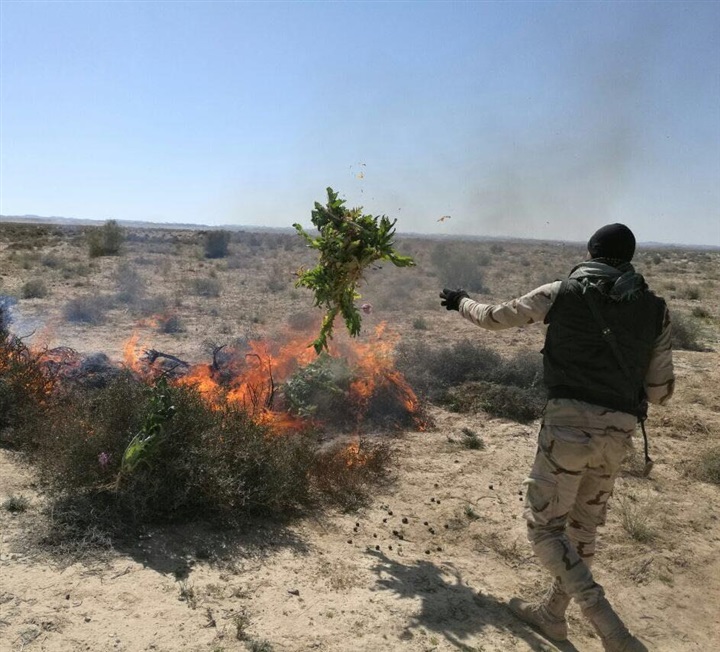 قوات إنفاذ القانون بالجيش الثالث الميدانى تواصل ملاحقة العناصر التكفيرية بوسط سيناء