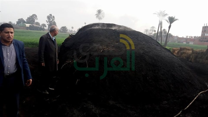 بالصور.. حملة إطفاء مكامير فحم بناحية أجهور بمركز طوخ