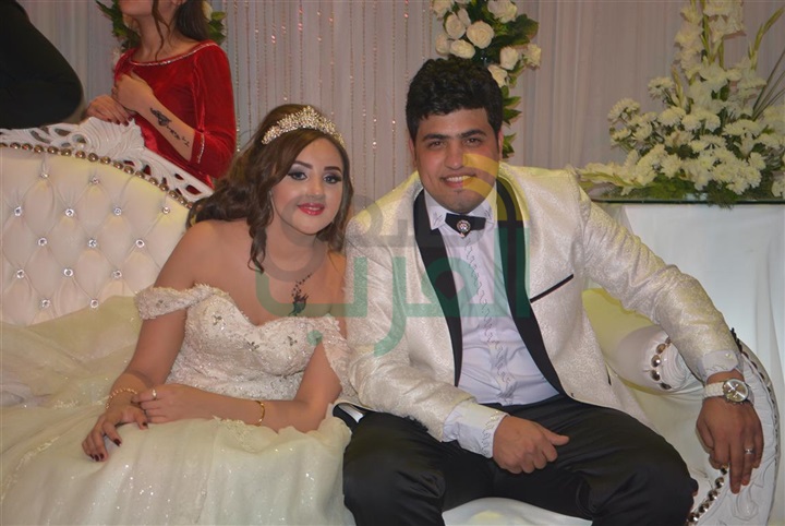 بالصور.. نجوم الغناء يتألقون في حفل زفاف نجل أحمد شيبة بالصور.. نجوم الغناء يتألقون في حفل زفاف نجل أحمد شيبة
