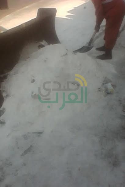 بالصور.. حملة نظافة بمدن وقرى القليوبية