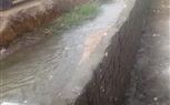 محافظ الفيوم يستجيب لشكوى أهالى قرية 