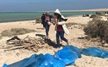  حملة نظافة موسعة بجزيرة أبو منقار بالبحر الأحمر