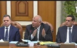 بحضور رئيس الجمهورية.. محافظ الوادى الجديد يعرض موقف تقنين أراضي الدولة بالمحافظة 