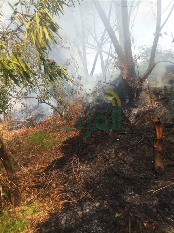 بالفيديو والصور.. إنفجار خط غاز بعزبة شرارة بمدينة بنها 