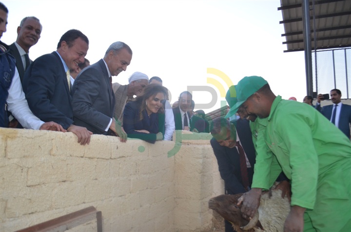 بالصور.. وزيرا النقل والاستثمار يتفقدان عددًا من المشروعات بقنا
