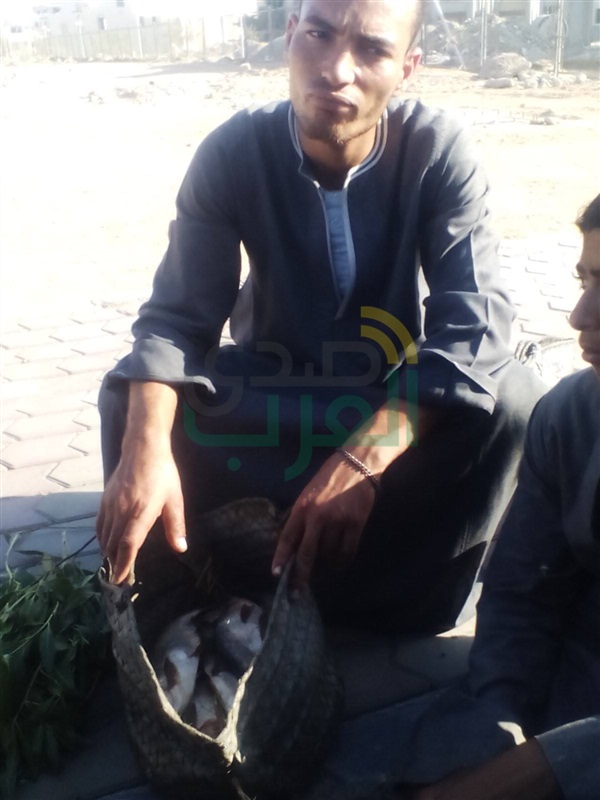 وزير الأوقاف يقبل استقالة مدير مستشفى الدعاة لظروفه الخاصة