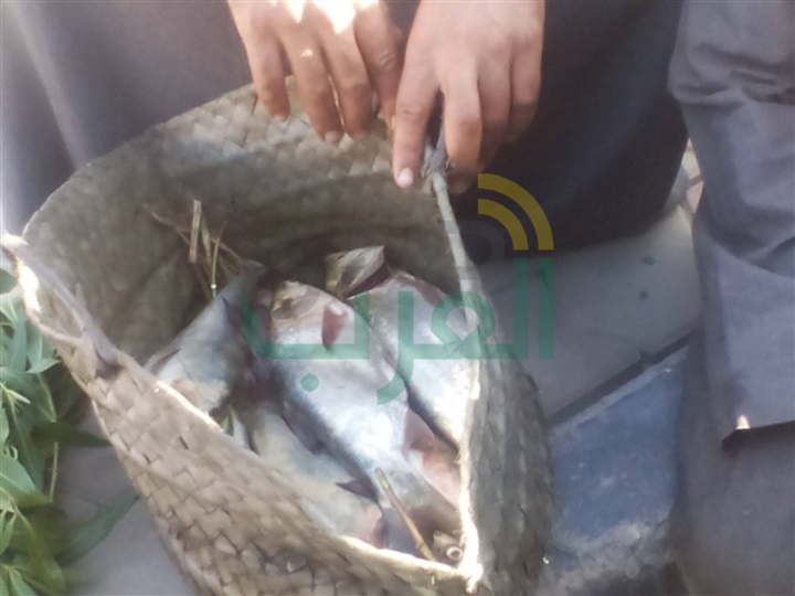 وزير الأوقاف يقبل استقالة مدير مستشفى الدعاة لظروفه الخاصة