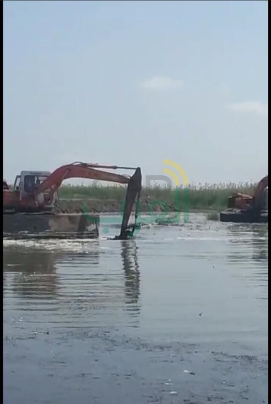 بالصور.. إزالة تعديات على 100 فدان ببحيرة البرلس