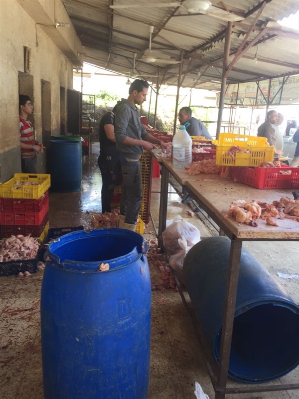 ضبط 200 طن لحوم فاسدة بشبرا الخيمة 