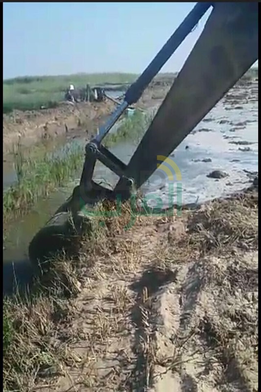 بالصور.. إزالة تعديات على 100 فدان ببحيرة البرلس