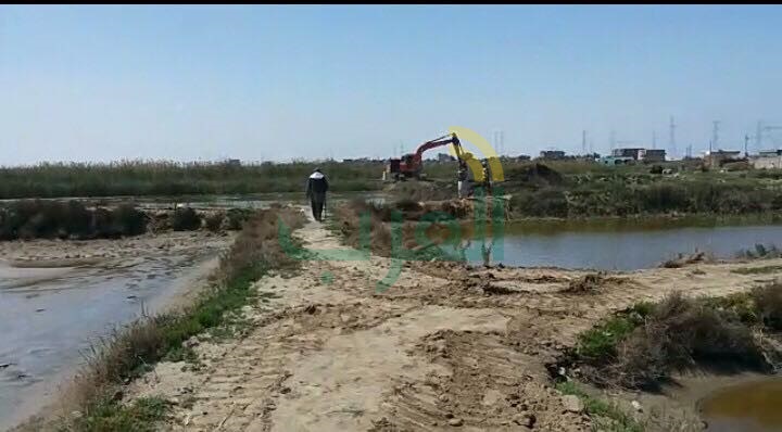 بالصور.. إزالة تعديات على 100 فدان ببحيرة البرلس