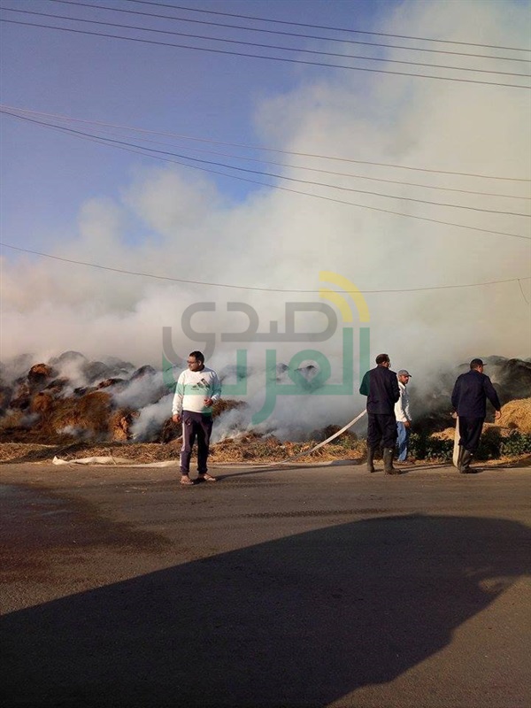 حريق يلتهم 600 طن قش أرز بكفر الشيخ