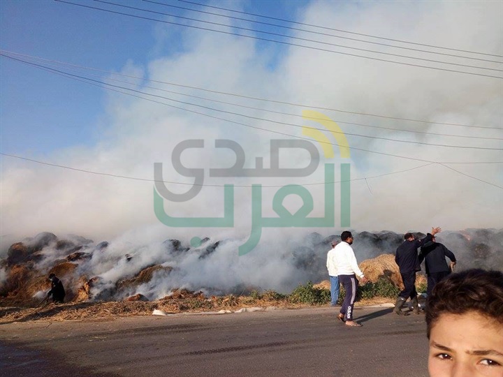 حريق يلتهم 600 طن قش أرز بكفر الشيخ