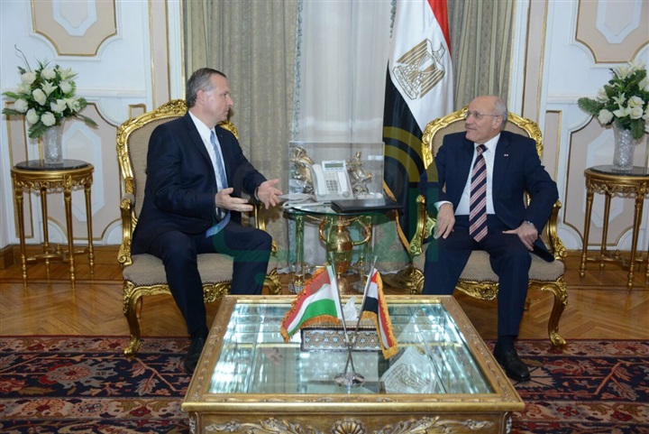 بالصور.. "العصار" يبحث سبل التعاون المشترك مع "كوريا" و"المجر"