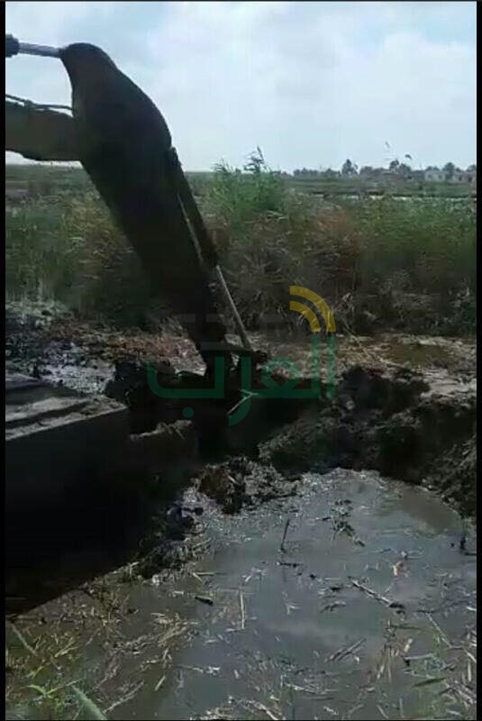 بالصور.. تحرير 100 قضية وإزالة تعديات على 35 فدانًا ببحيرة البرلس