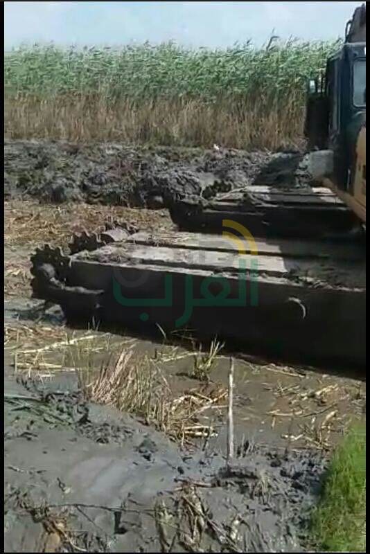بالصور.. تحرير 100 قضية وإزالة تعديات على 35 فدانًا ببحيرة البرلس