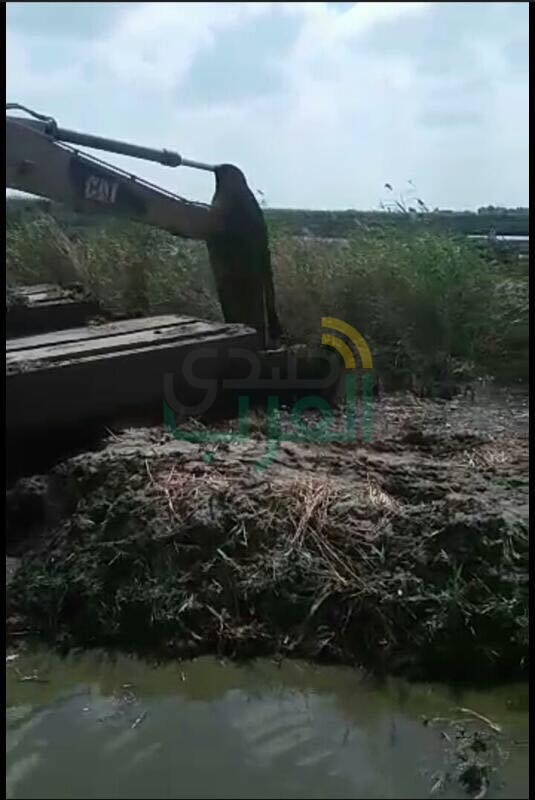 بالصور.. تحرير 100 قضية وإزالة تعديات على 35 فدانًا ببحيرة البرلس